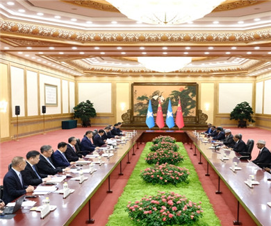 习近平会见索马里总统